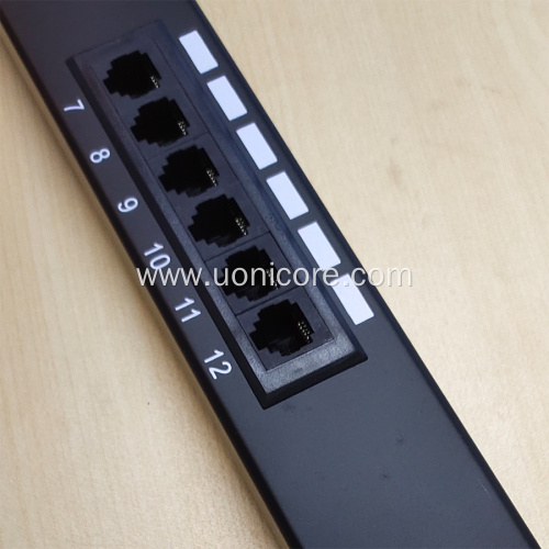 1U 12 ports patch panel cable management available